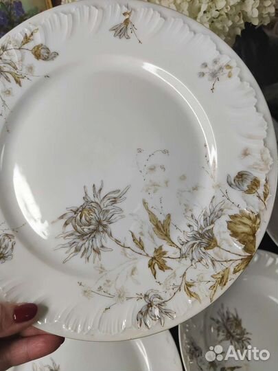 Тарелки Антиквариат. Европа