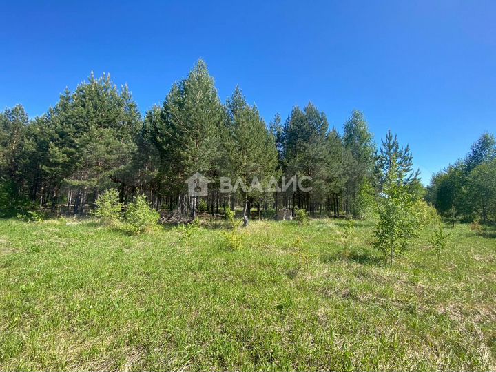 Участок 31 сот. (ИЖС)