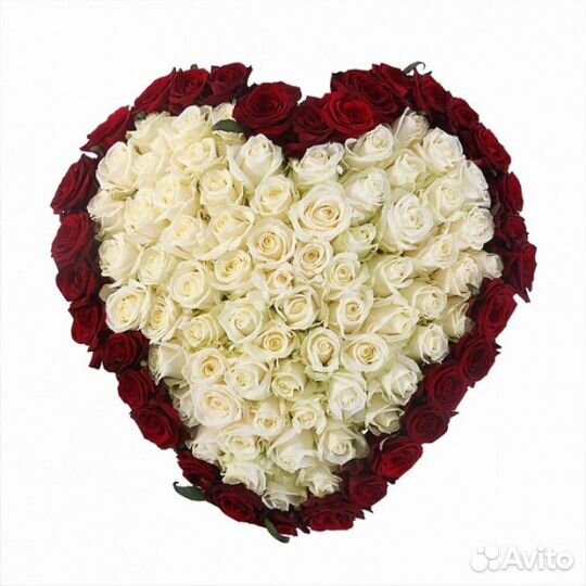 Роза 25 Роза 31 Роза 51 ароматная Роза