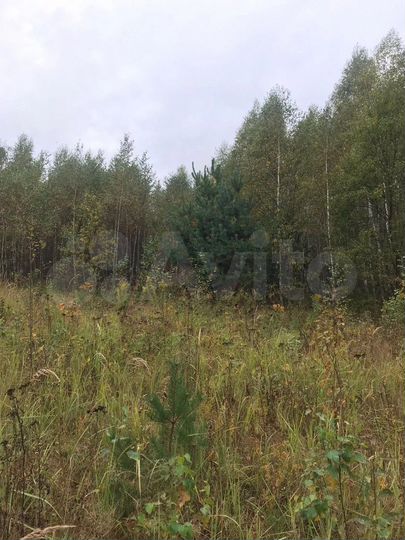 Участок 15 сот. (ИЖС)