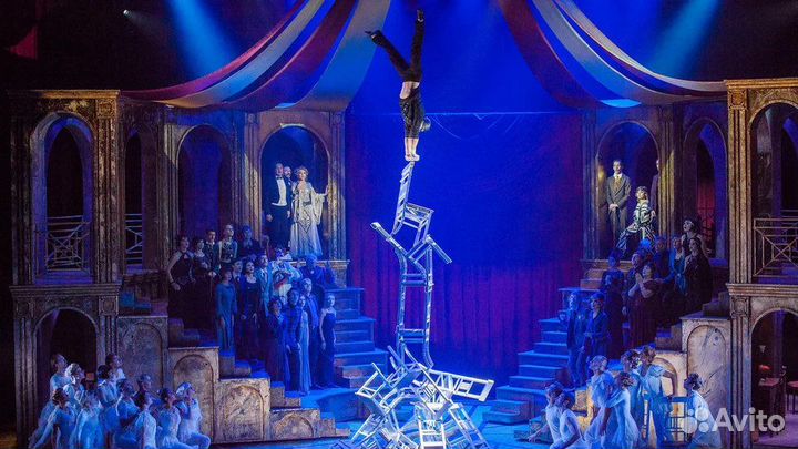 Билет мюзикл Принцесса Цирка за 1/2