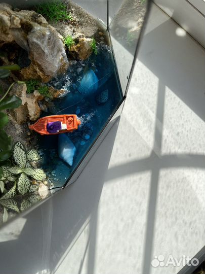 Флорариум бонсай