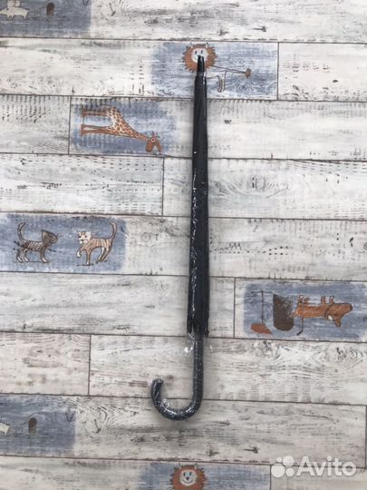 Новые зонты с чм по футболу 2018