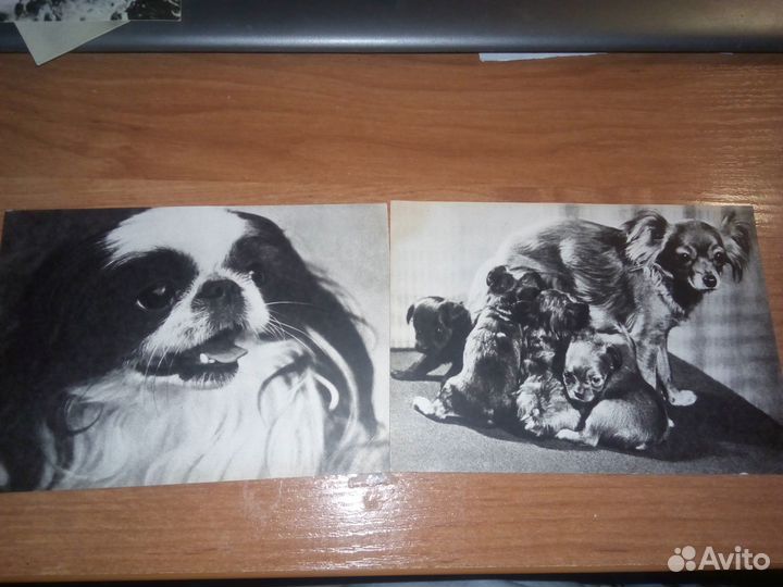 Открытки СССР 1968 год 