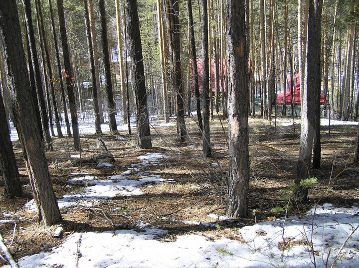 Участок 8 сот. (СНТ, ДНП)