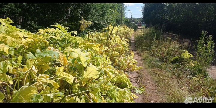 Покос травы спил деревьев расчистка участка