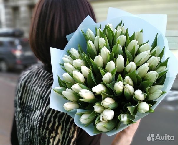 Цветы тюльпаны