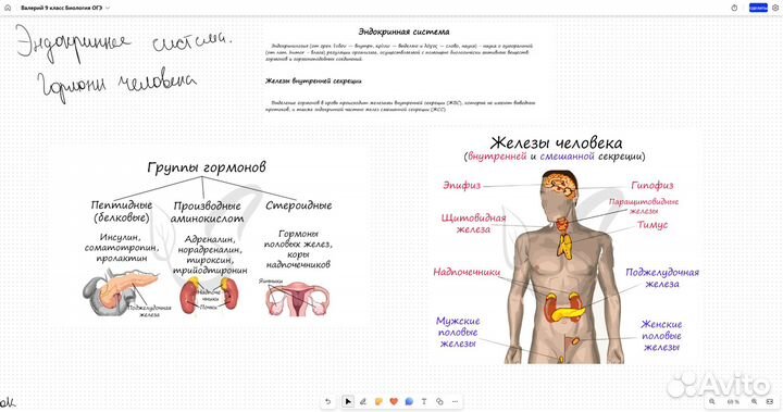 Репетитор по биологии