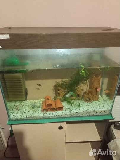 Аквариум с тумбой
