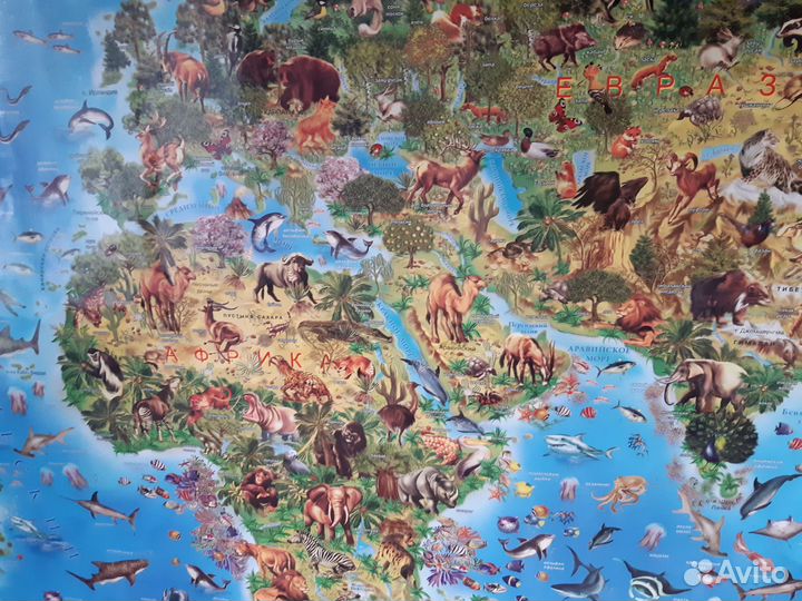Карта мира животный и растительный мир