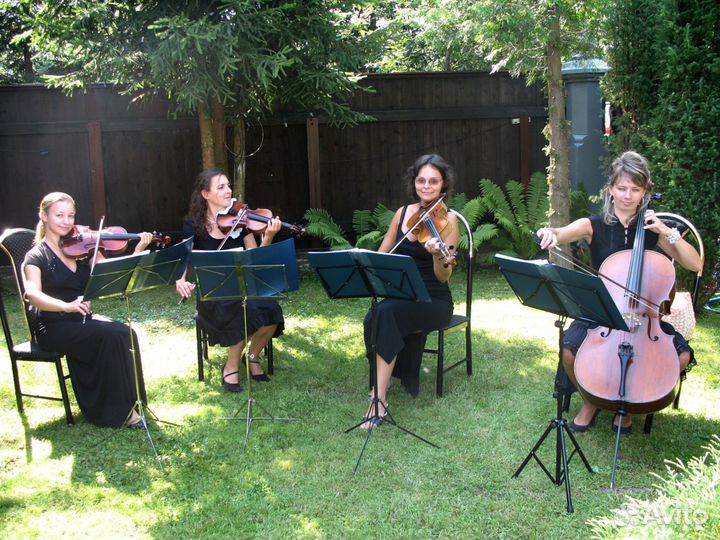 Музыканты на Ваш праздник. Струнный квартет ConBri