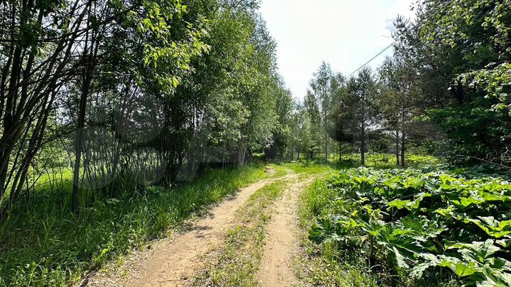 Участок 45 сот. (СНТ, ДНП)