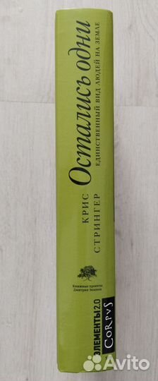 Крис Стрингер Остались одни