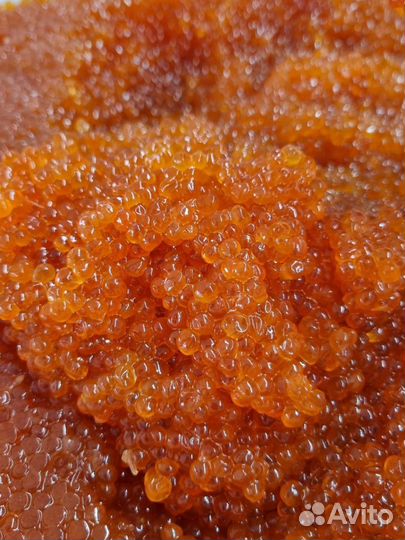 Красная икра горбуши