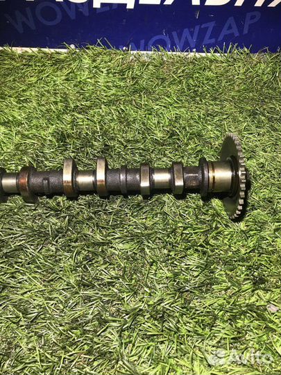 Распредвал (выпускной) Toyota Yaris 1NZ