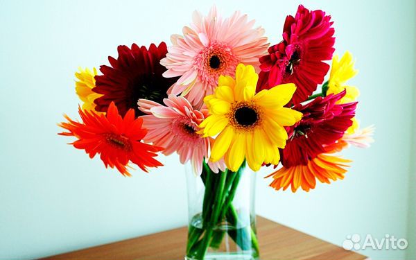 Букет гербер