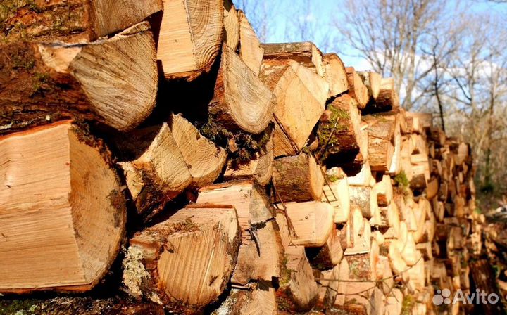Дрова в СПБ