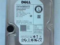 1tb Dell +салазки Dell 3.5"