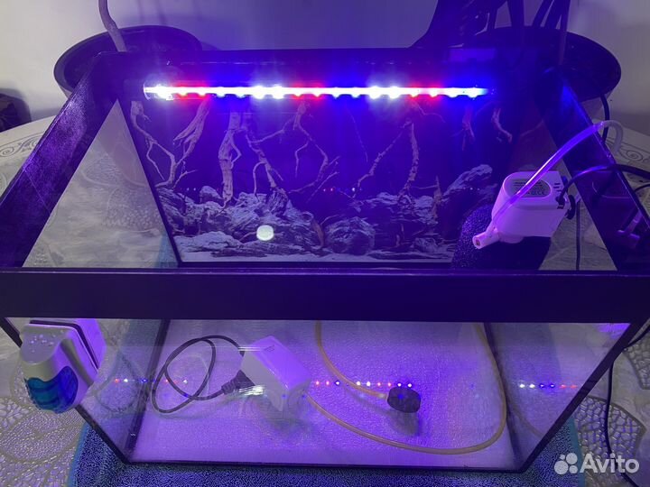 Аквариум для рыб