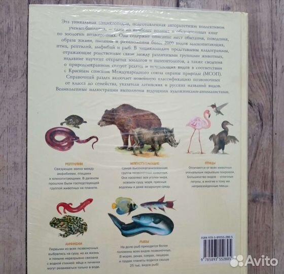 Книга новая