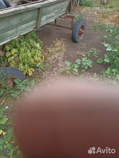 Телега для лошади