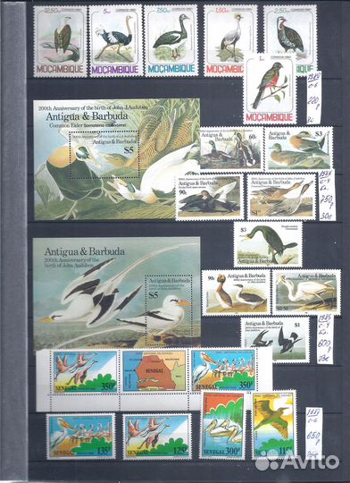 Марки.Птицы 2