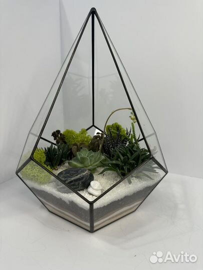 Флорариум в геометрической форме (капля)