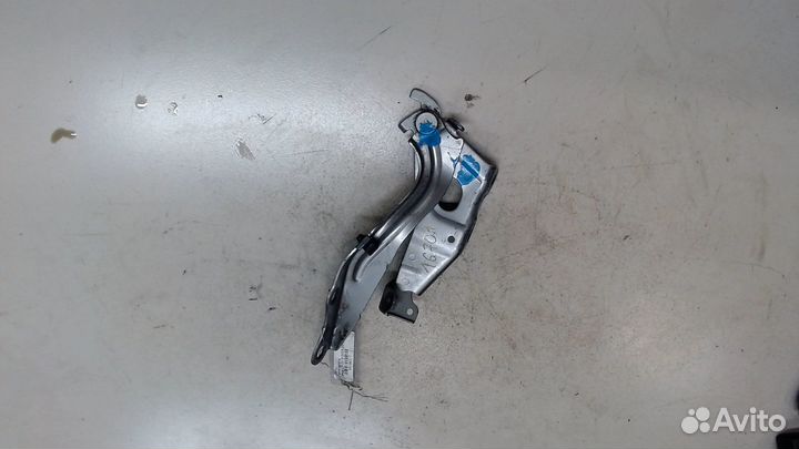 Петля капота Lexus UX, 2019