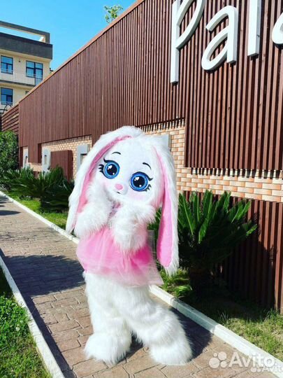 Аниматор Мишка Тедди/Зайка/Лол/Единорог