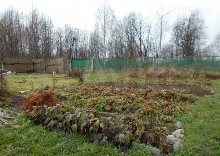 Участок 15 сот. (ИЖС)