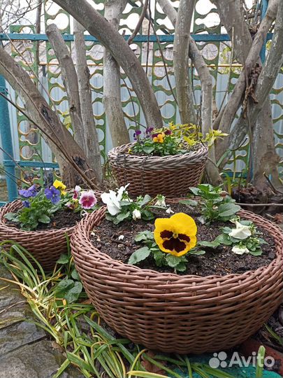 Кашпо для цветов из ротанга