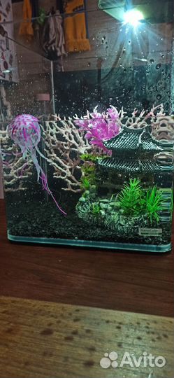 Аквариум Dennerle NanoCube 20L