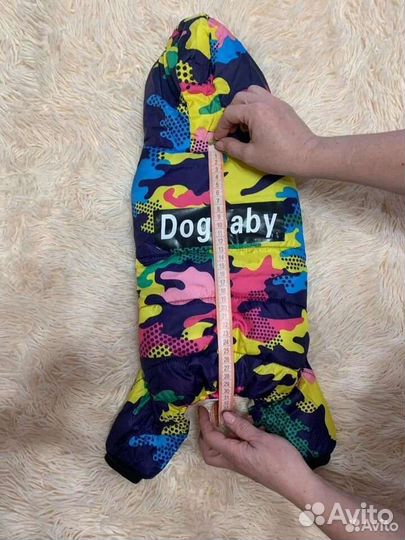 Одежда для собак мелких пород