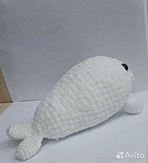 Детёныш тюленя-белек