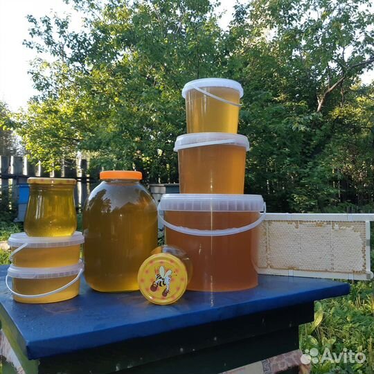 Мёд, сотовый мёд, забрус