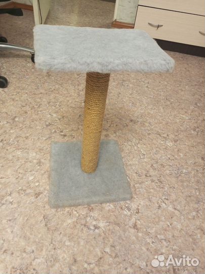 Когтеточка