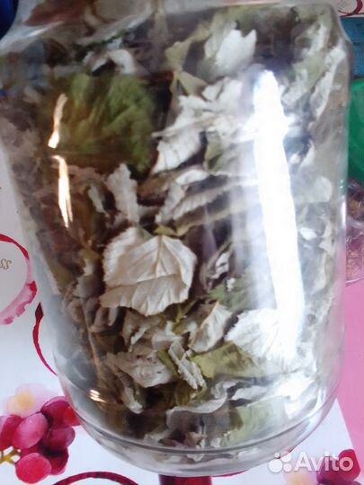 Лист малины сухой цена за весь