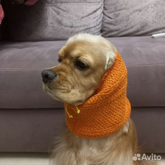 Снуды для кокеров