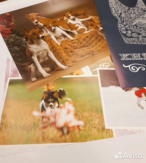 Афиши. Плакаты. Постеры (формат А0, А1, А2)