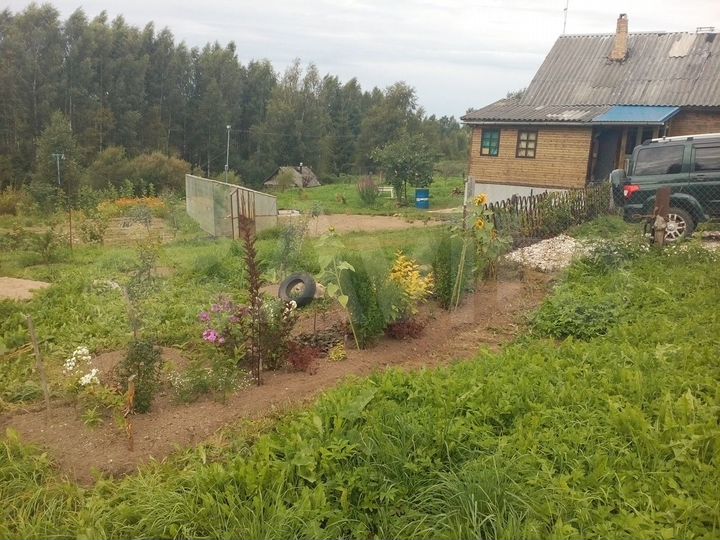 Дом 54 м² на участке 22 сот.