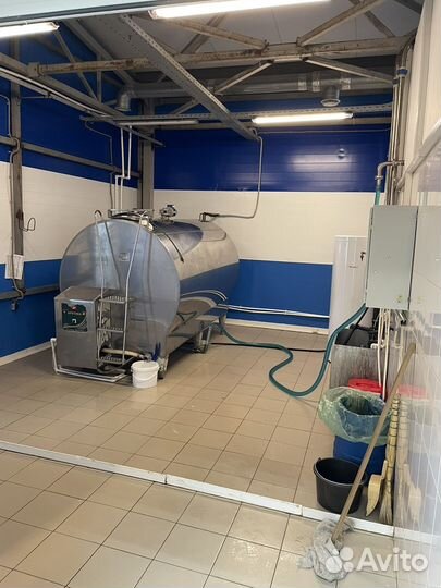 Животноводческая ферма крс молочного направления