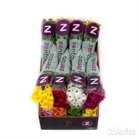 Цветы оптом хризантемы