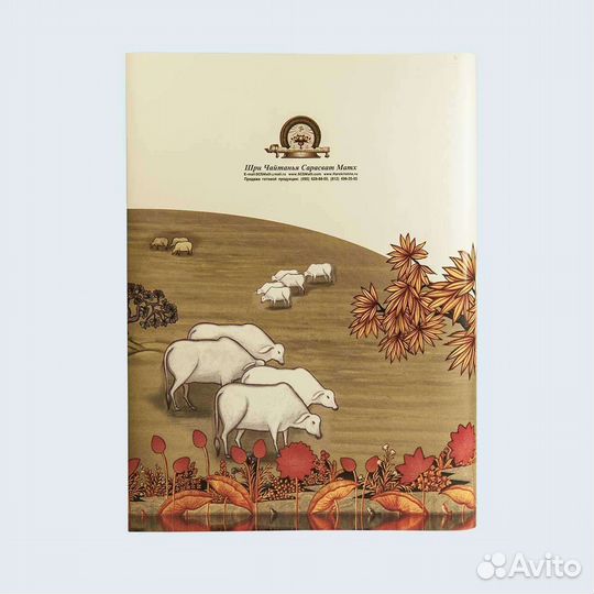 Шри Чайтанья Бхагавата, Деяния Шри Чайтаньи