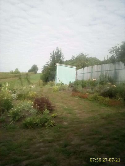 Дом 52 м² на участке 34 сот.