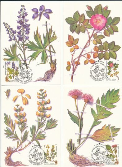 Картмаксимумы СССР со спецгашением