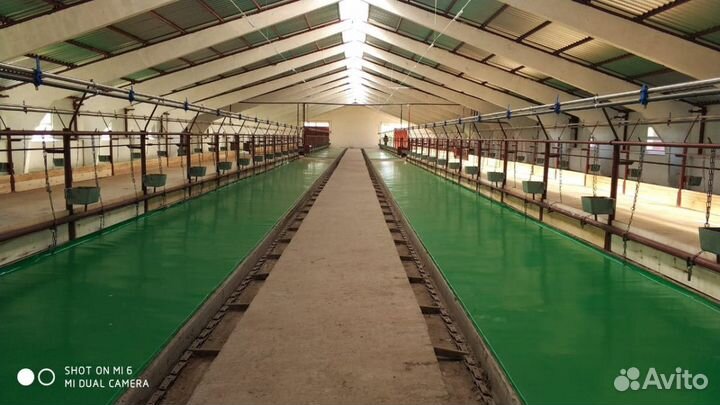 Молокопроводы, стойло, поение для крс