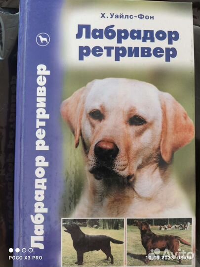 Книга Лабрадор ретривер