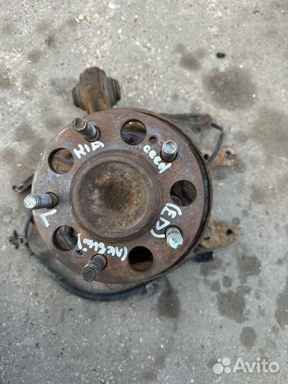 Кулак задний левый Kia Ceed ED