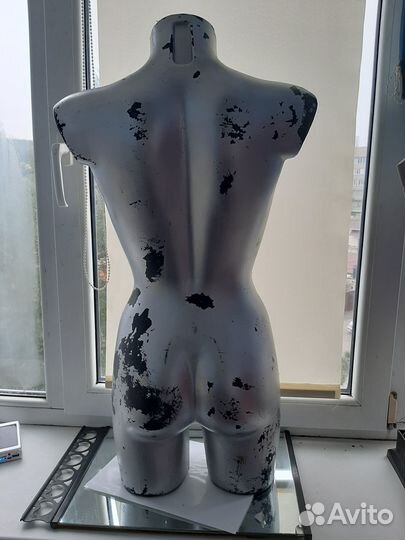 Пластиковый торс