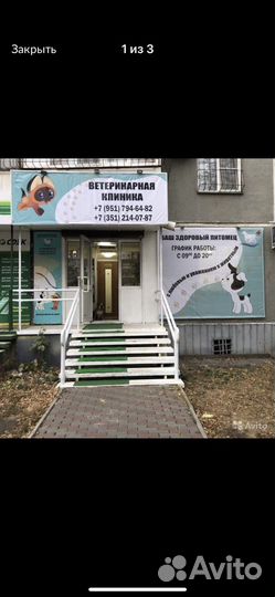 Готовый бизнес ветеринарная клиника